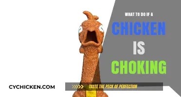 Quick Choking Chicken Rescue: Essential Steps to Save Your Bird