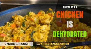 Revitalizing Your Flock: Quick Fixes for Dehydrated Chickens