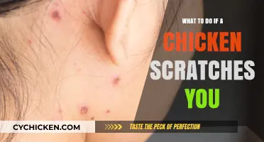 Chicken Scratches: Quick Remedies and Prevention Tips for Minor Injuries