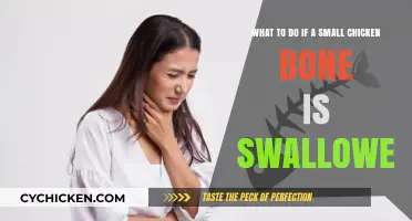 Swallowed a Small Chicken Bone? Here's What to Do