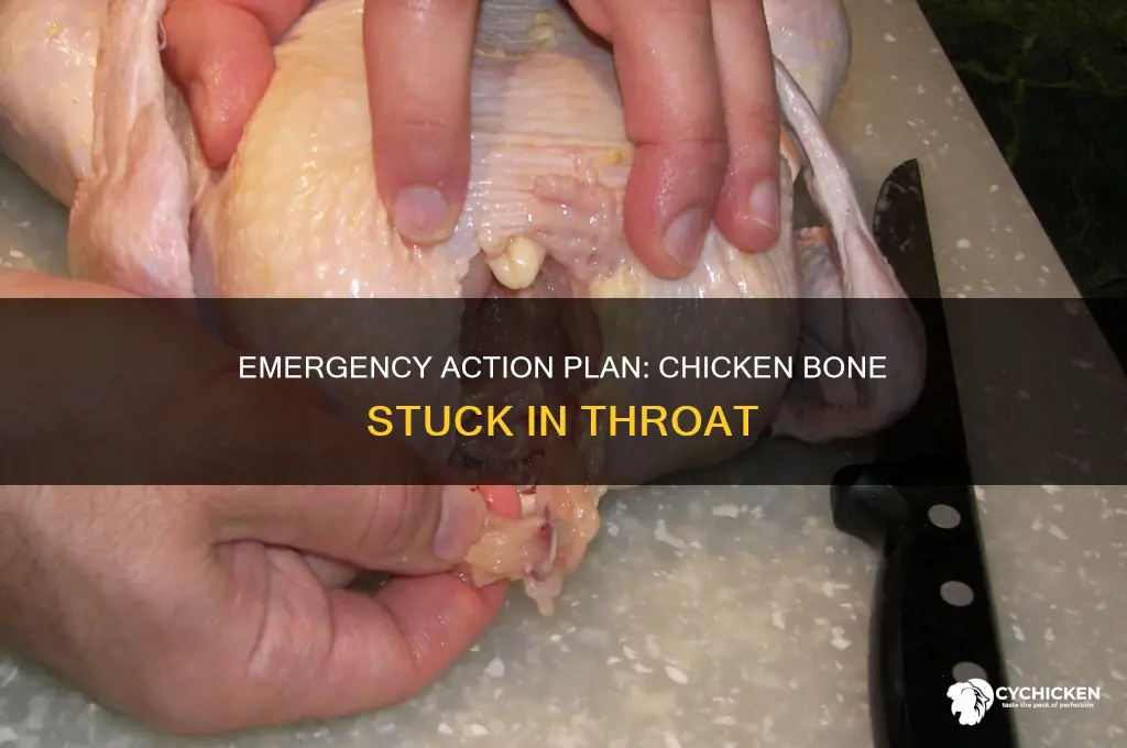 what to do if chicken bone stuck in throat