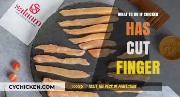 Quick First Aid Steps for a Chicken-Related Finger Cut