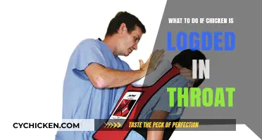 Act Fast: Chicken Lodged in Throat – What to Do?