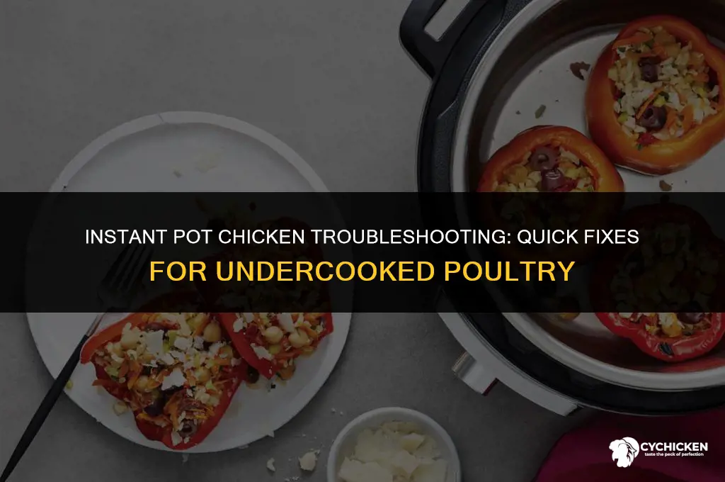 what to do if chicken isn