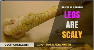 Scaly Chicken Legs? Here’s How to Smooth and Heal Them Fast