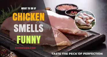 Funny-Smelling Chicken? Quick Tips to Safely Handle and Respond