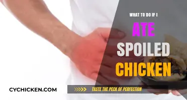 Ate Spoiled Chicken? Immediate Steps to Take and Symptoms to Watch