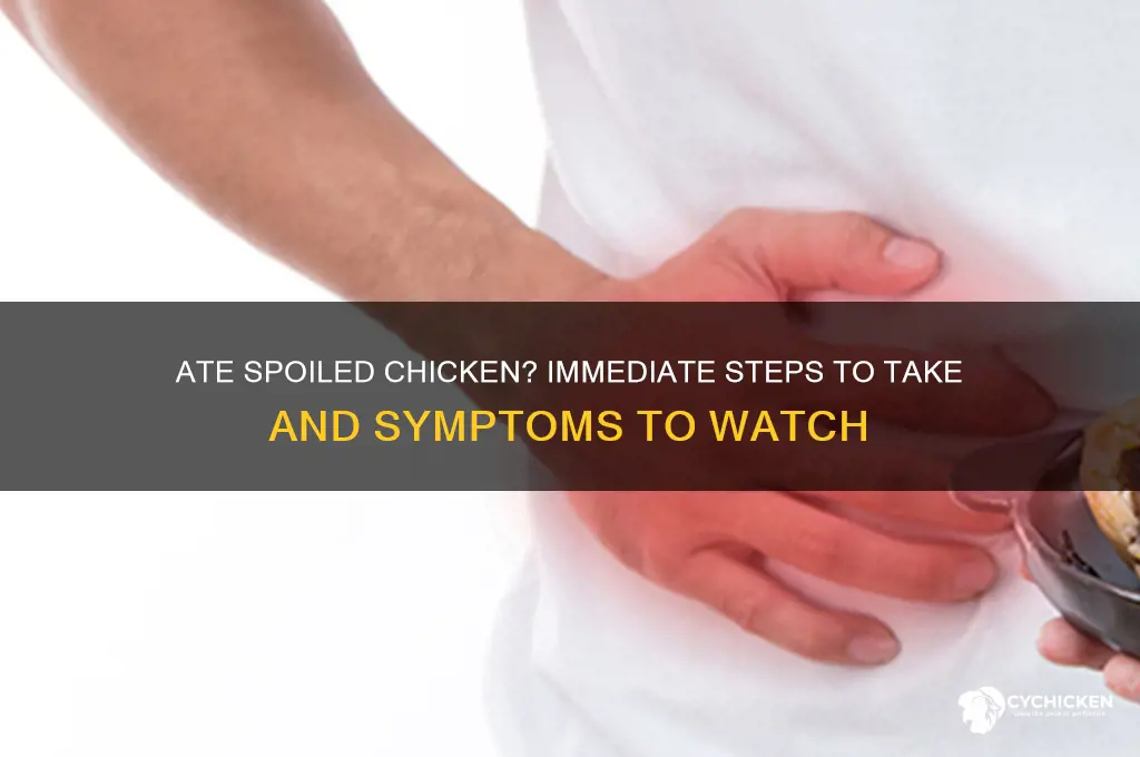what to do if i ate spoiled chicken