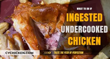 Undercooked Chicken Ingested? Immediate Steps to Prevent Food Poisoning
