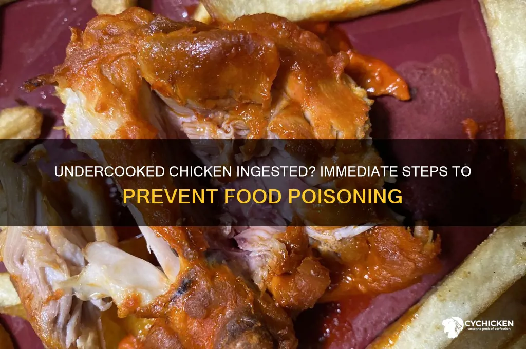 what to do if ingested undercooked chicken
