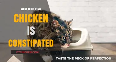 Relieving Constipated Chickens: Effective Remedies and Care Tips