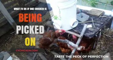 Stop Bullying: Protect Your Flock's Weakest Member