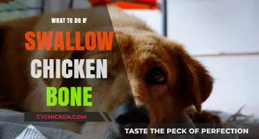 Swallowed a Chicken Bone? Quick Steps to Stay Calm and Safe