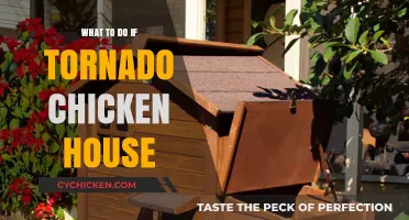 Tornado-Proof Your Chicken Coop: Essential Steps for Safety and Survival