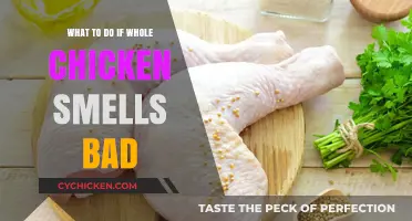 Fresh or Foul: A Guide to Handling Suspicious Chicken Scents