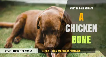 Dealing with Ingesting Chicken Bones: Steps to Take