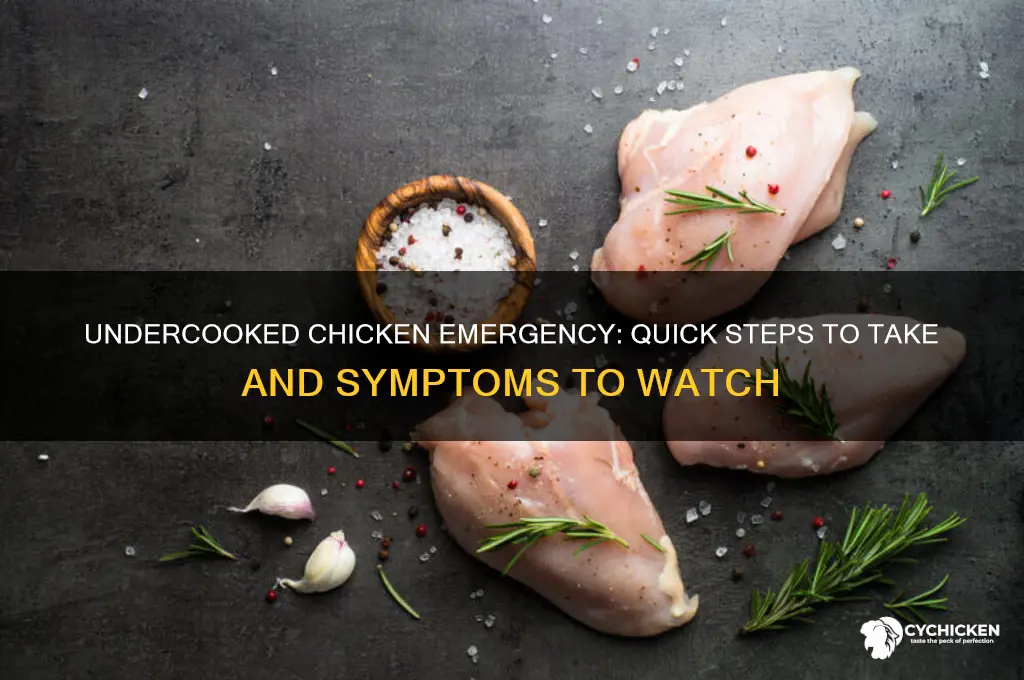 what to do if you ate undercooked chicken