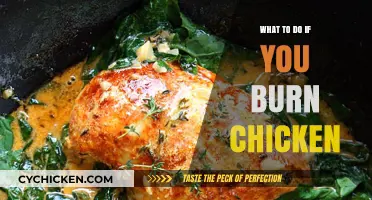 Rescue Overcooked Chicken: Quick Fixes for Burnt Poultry Disasters