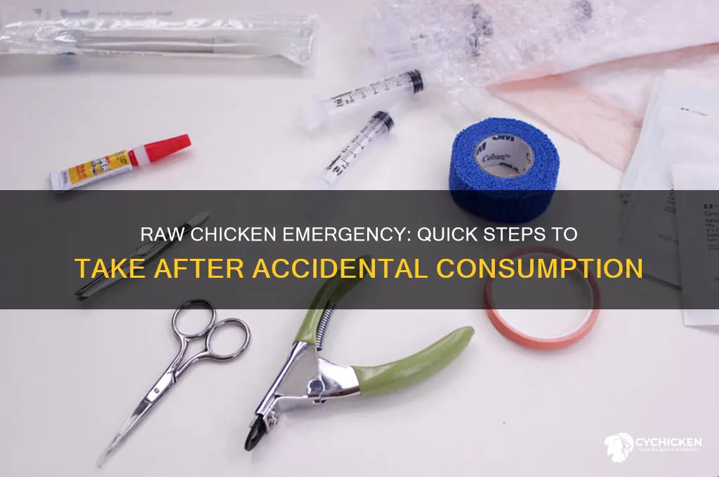 what to do if you consume raw chicken
