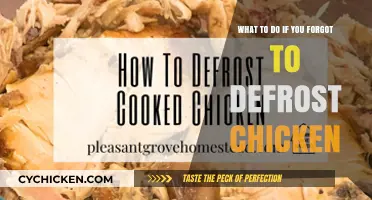 Quick Fixes for Forgotten Frozen Chicken