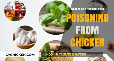 Chicken Food Poisoning: What to Do and How to Recover