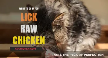 Licked Raw Chicken? Quick Steps to Stay Safe and Healthy