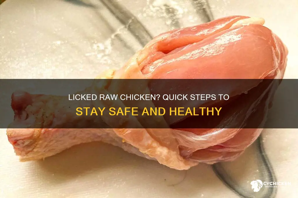 what to do if you lick raw chicken