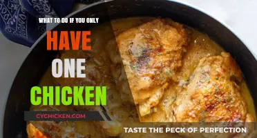 Solitary Chicken? Strategies for a Happy, Healthy Hen