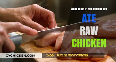Raw Chicken Consumption: What to Do?