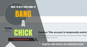 Bang a Chick: A Guide for the Modern Man