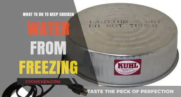 Keep Chicken Water Ice-Free: Try These Methods