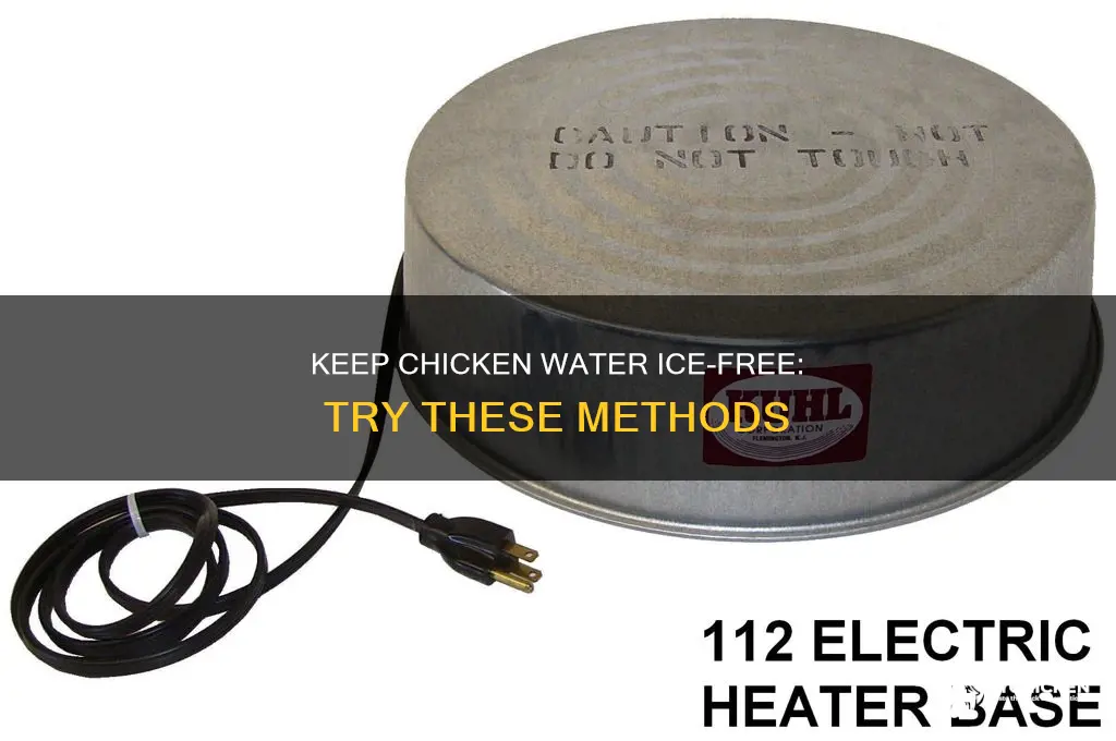 what to do to keep chicken water from freezing