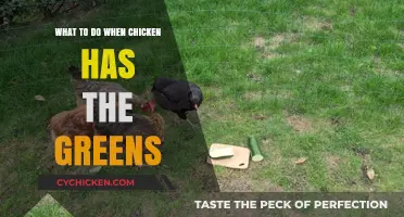 Chicken Eats Greens? Quick Tips to Handle the Situation Safely
