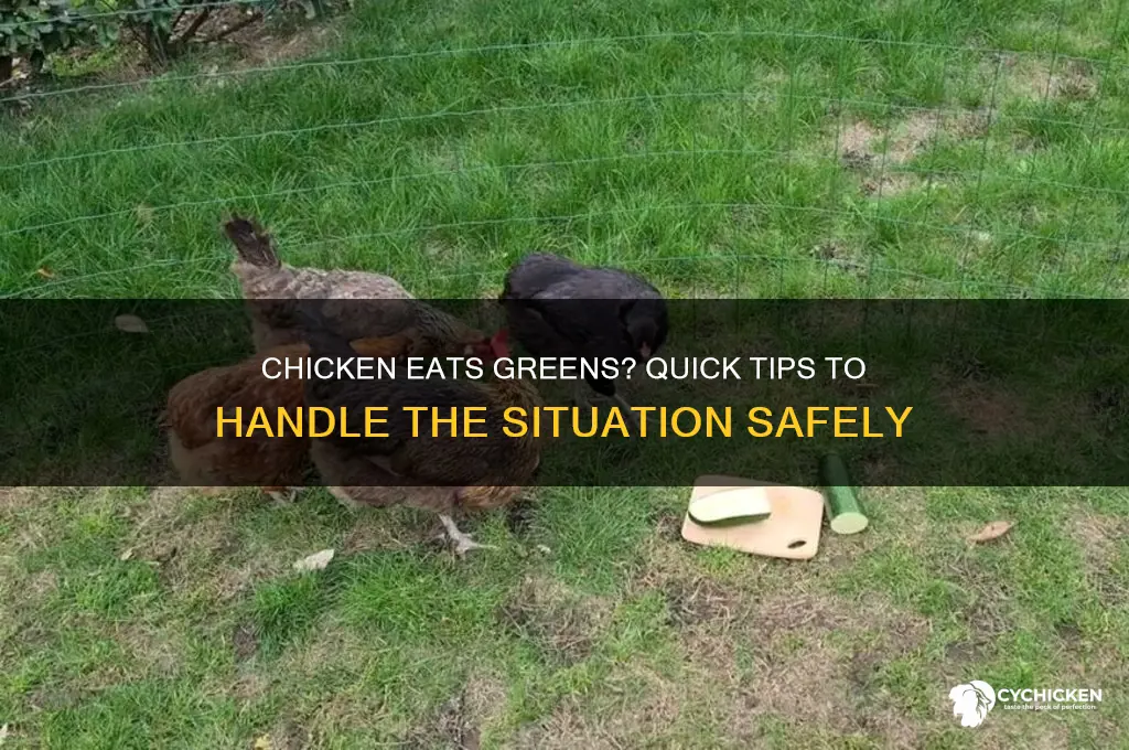 what to do when chicken has the greens