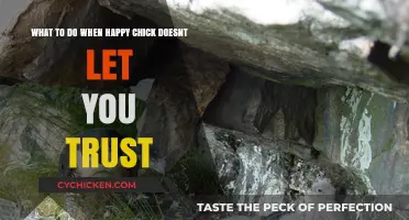 How to Fix Happy Chick's Trust Issues