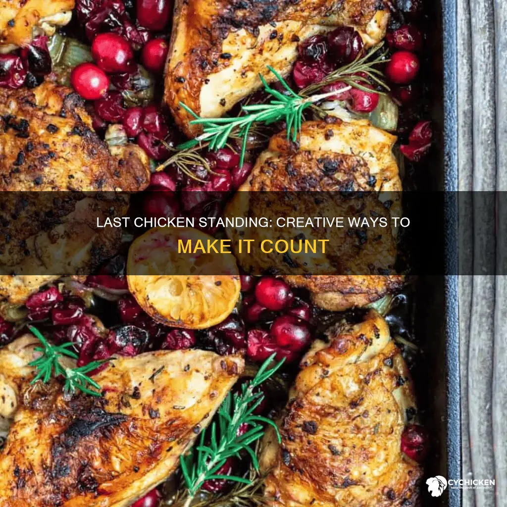 what to do when you only have 1 chicken left