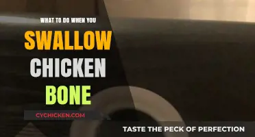 Swallowed a Chicken Bone? Calm Steps to Take and When to Worry