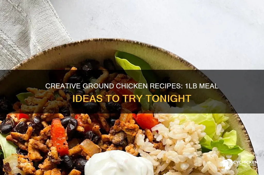 what to do with 1lb of ground chicken