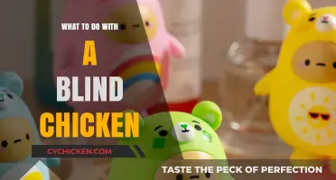 Caring for a Blind Chicken: Tips and Tricks for Happy Hens