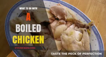 Creative Ways to Transform Boiled Chicken into Delicious Meals