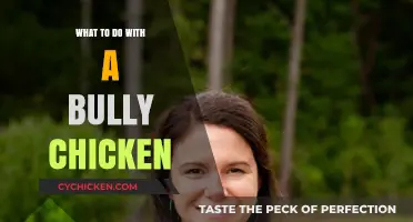 Handling a Bully Chicken: Strategies for a Peaceful Flock