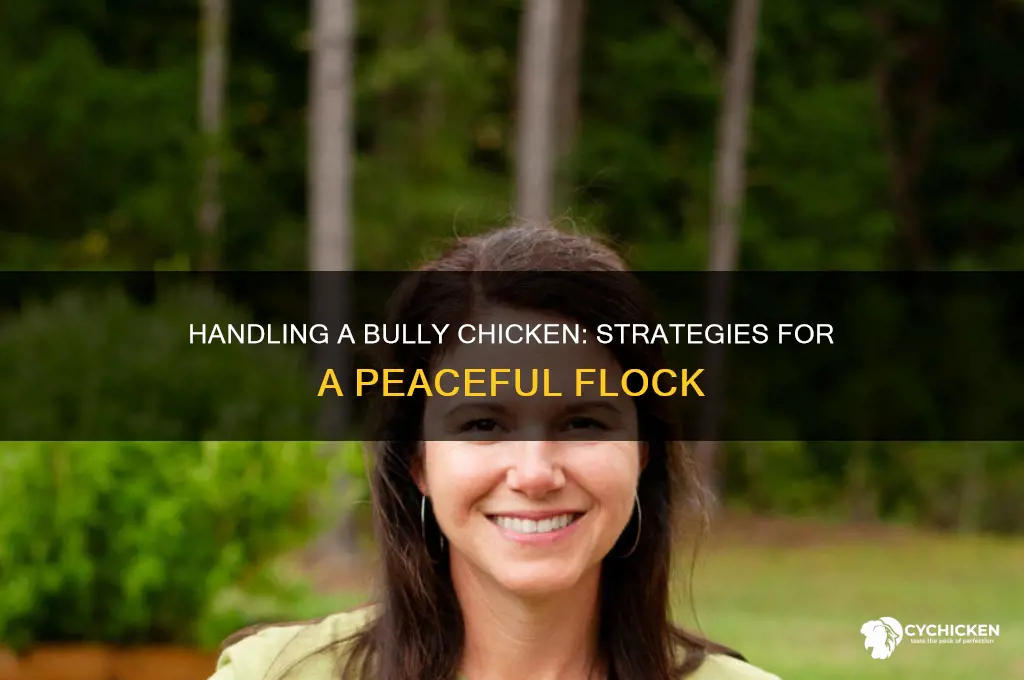 what to do with a bully chicken