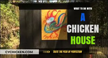 Creative Uses for Your Chicken House: Repurpose, Renovate, or Rehome