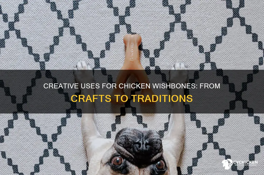 what to do with a chicken wishbone
