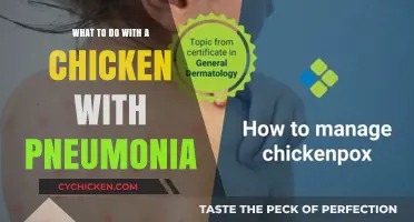 Treating Chicken Pneumonia: Effective Care and Recovery Tips for Poultry