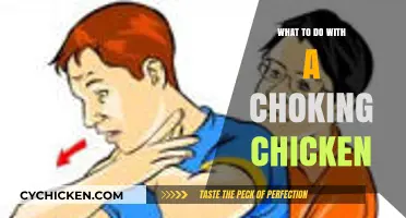 Emergency First Aid: Saving Your Choking Chicken – Quick Steps to Help