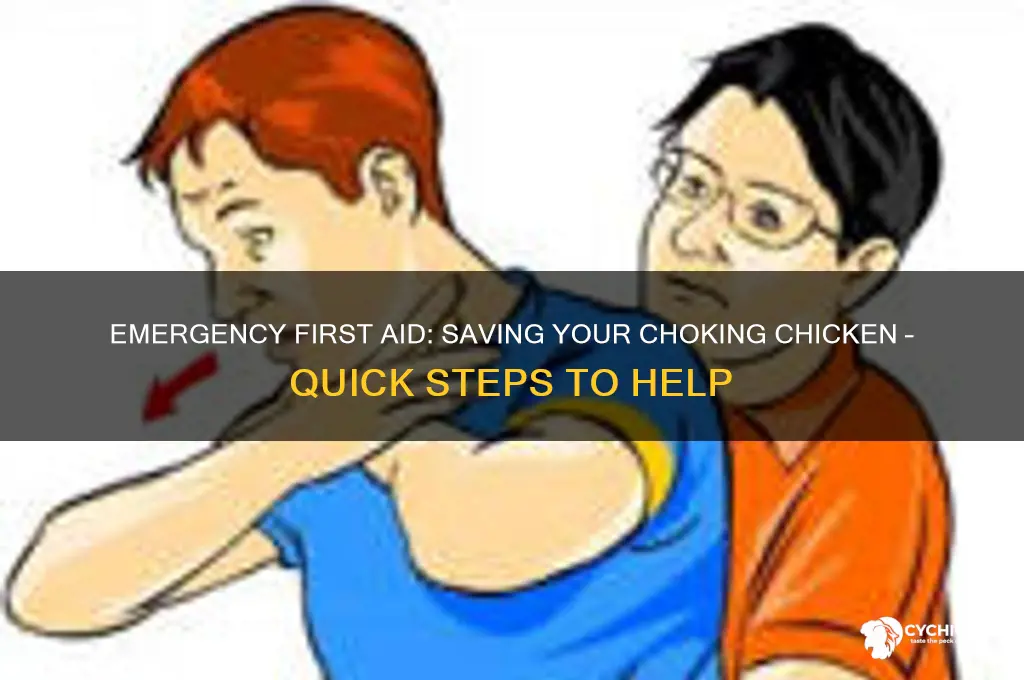 what to do with a choking chicken