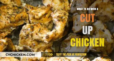 Creative Ways to Cook and Enjoy a Cut-Up Chicken at Home