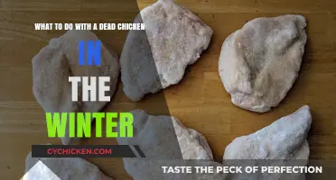 Winter Chicken Care: Dealing with Death