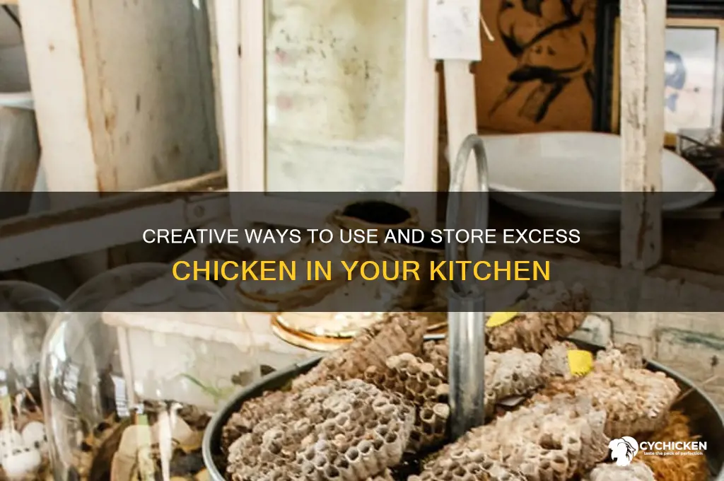 what to do with a lot of chicken